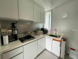 The Vermont On Cairnhill (D9), Apartment #480976461